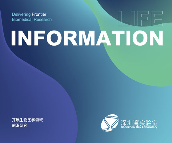聘請上海專業Logo設計公司的五大好處